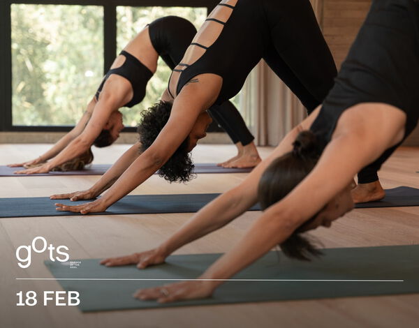 GOTS Flow + Sound Healing &ndash; GOTS Studio MEDELLIN,  image number null