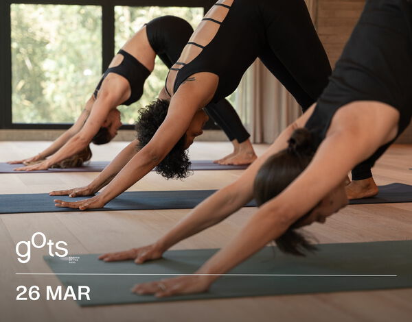 GOTS Flow + Sound Healing &ndash; GOTS Studio MEDELLIN,  image number null